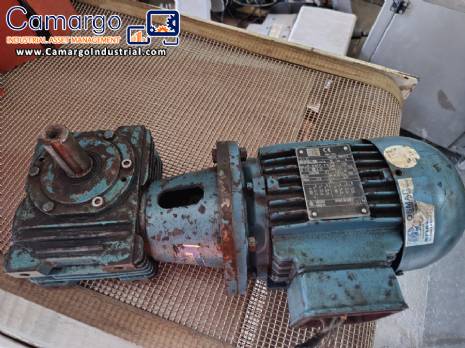 Gearmotor with 0.75 HP three-phase motor, Cestari brand.