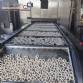 Continuous line dosing dropper with oven for buttered tapioca starch biscuits Forma�o