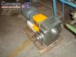 Transfer pump Cesi