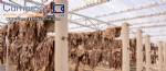 Industrial plant/refrigeration processing plant for deboning and processing meats and sausages.
