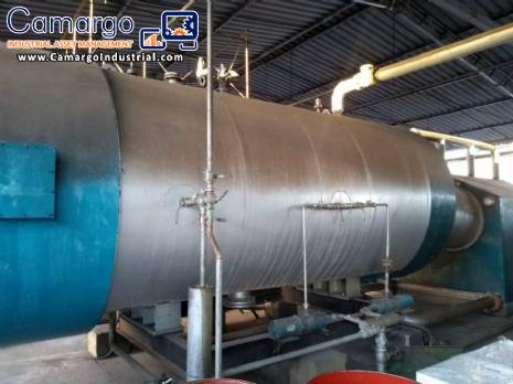 Steam boiler Eonia