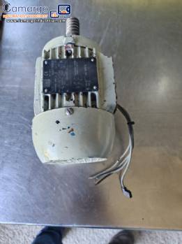 WEG single-phase induction motor, 1/4 HP, 1670 rpm