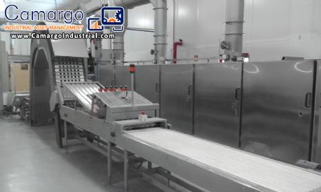 Industrial continuous oven for making wafer cones Haas