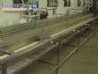 Conveyor belt