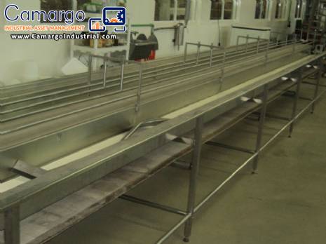 Conveyor belt