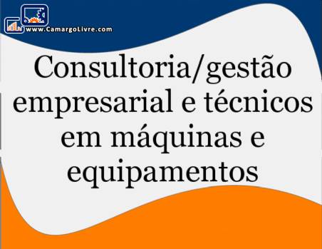Consultancy and technical assistance in the field of masses/biscuit ovens