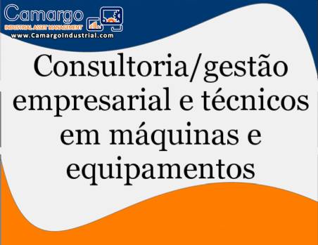 Consultancy and technical assistance in the field of masses/biscuit ovens