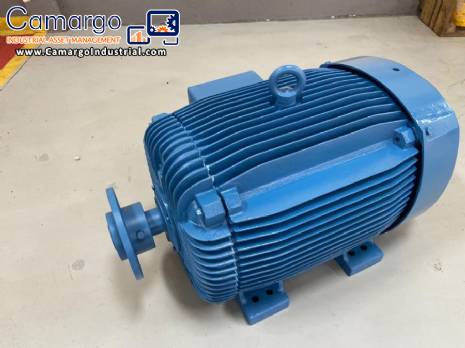 Conventional electric motor WEG