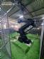 Comau C3G Plus industrial robot