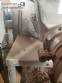 Industrial extruders for meat Weiler