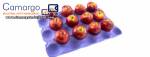 Egg tray production lines Eco-Recycle-Equip