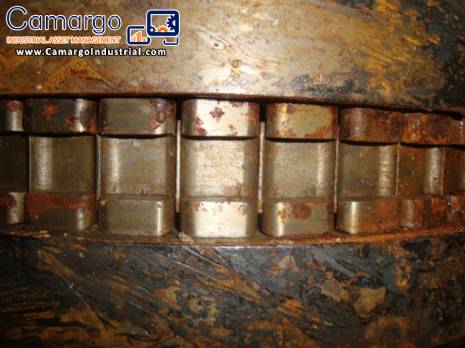 Estampadeira for Lollipop Estampadeira for Lollipop